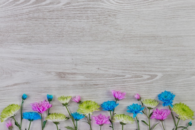 Garden flowers composition on wooden table with text space