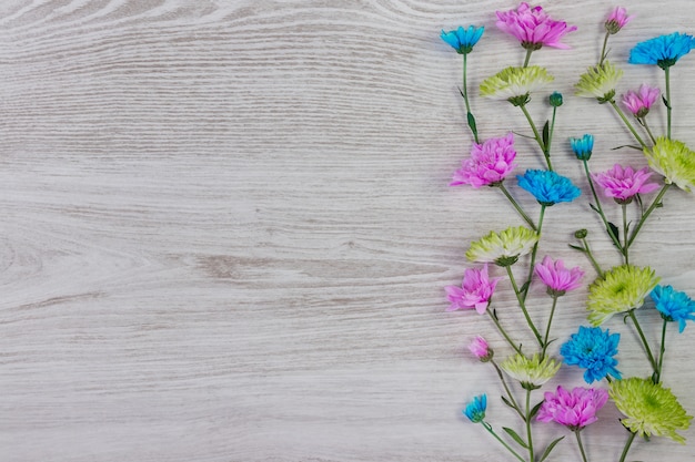 Garden flowers composition on wooden table with text space