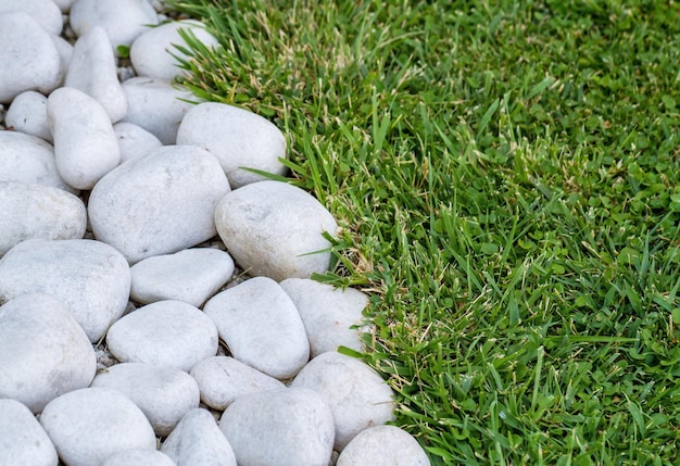 Garden footway of stones