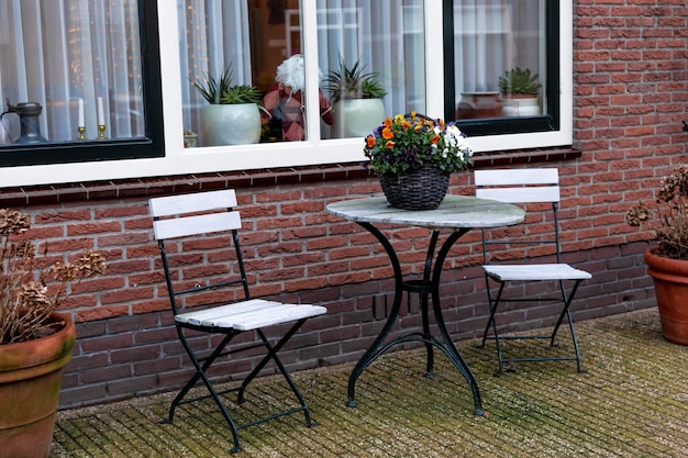 Garden furniture on porch of house with outdoor plants. Landscaping Gardening in city. Blooming flowers in pot on coffee table. Place to rest in autumn or winter in Netherlands. Home outdoor plants.