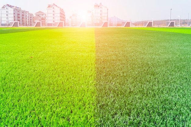 Garden game beautiful turf lawn field