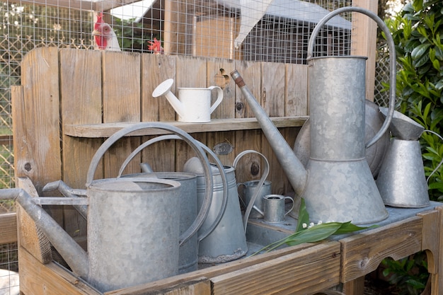 In the garden Gardening tools close to the hens house;