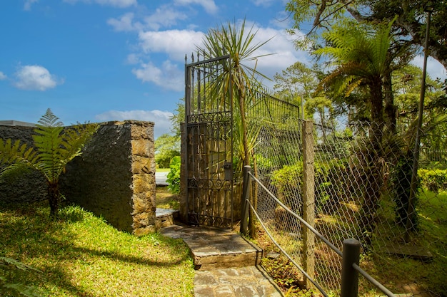 Garden gate with plants and blue sky