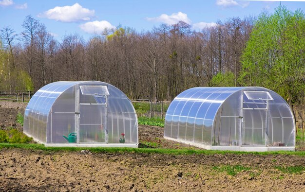 Garden greenhouse with cold frame and pots.