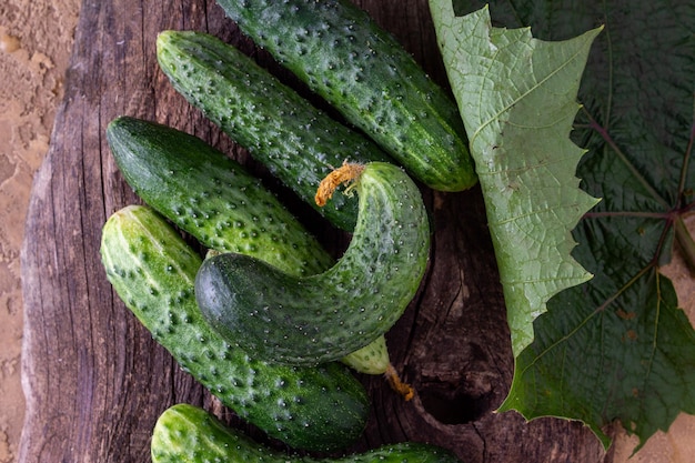 Garden harvest cucumbers lie on an old wooden board