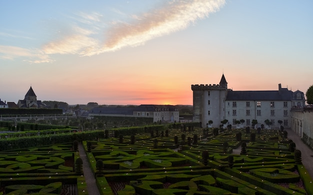 The garden illuminated by candles at dusk