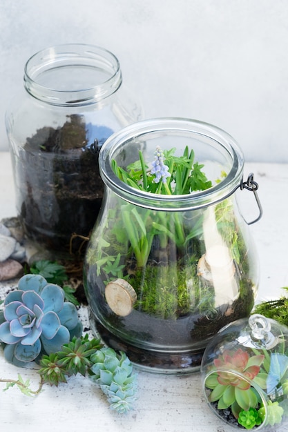 Garden inside glass mason jar