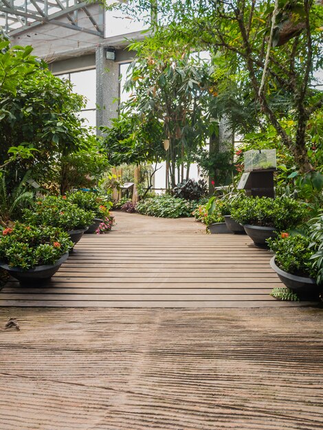 Garden landscape in green house