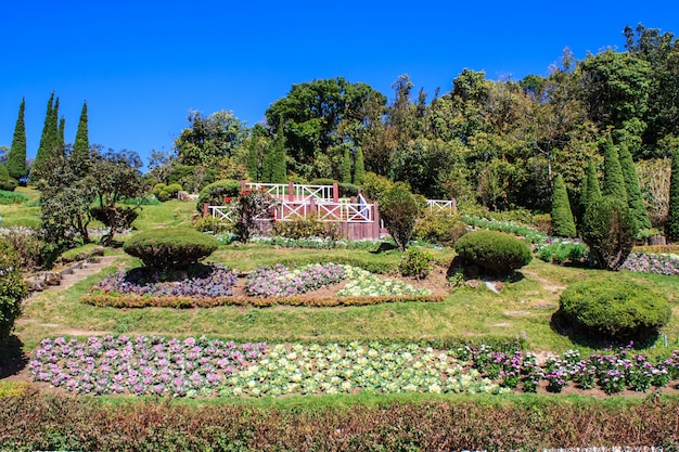 Foto paesaggio giardino