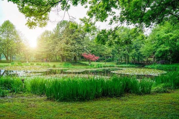 Garden landscaping in the park