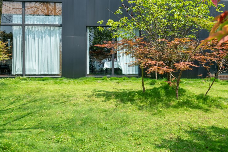 Photo 리조트의 정원 잔디밭
