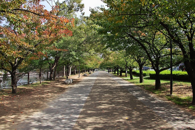 중세 성 오사카 일본 정원