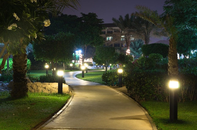 Garden at night