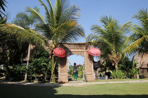 A garden outside the beach house