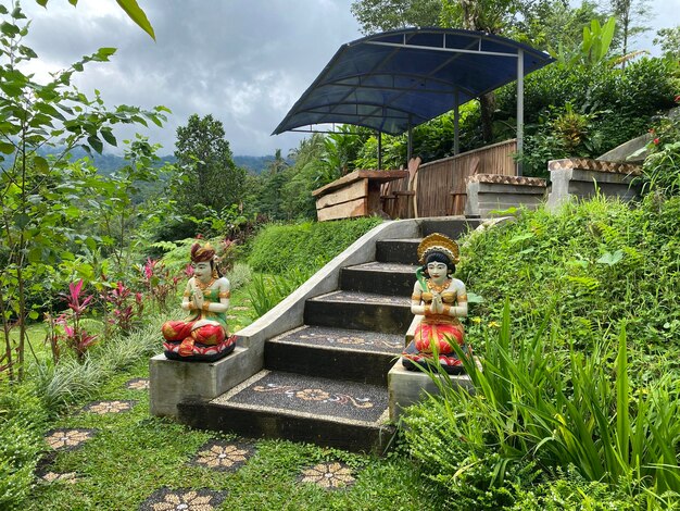 Photo a garden outside the guest house