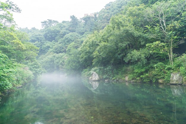 Garden park at cheonjiyeon waterfalls in jeju island