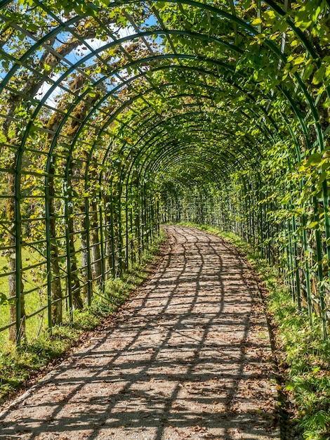 Garden passage in Linderhof palace