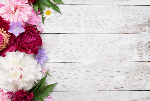 Garden peony flowers