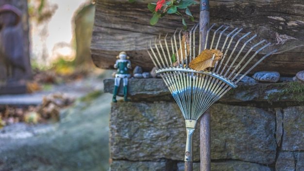 Garden Rake Brooms With Dried Leaf