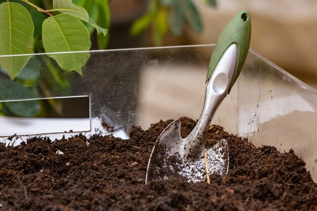 Garden shovel stuck in the ground