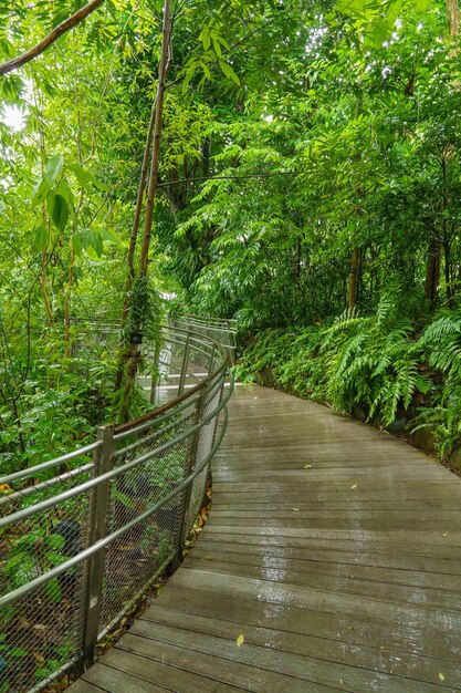 Foto giardino a singapore