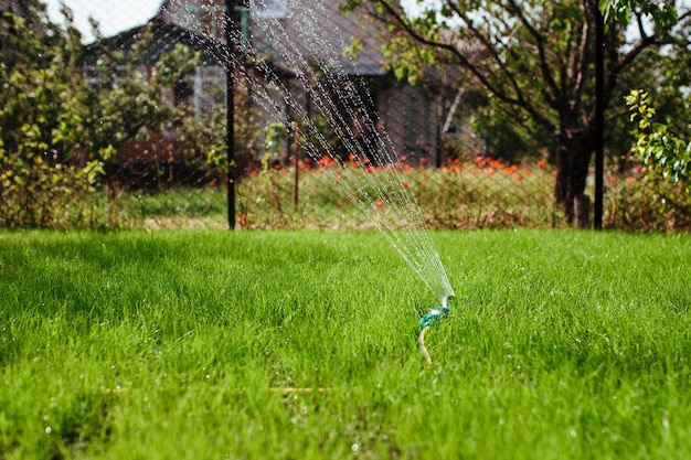 Garden sprinkler irrigates the lawn gardening and landscaping concept