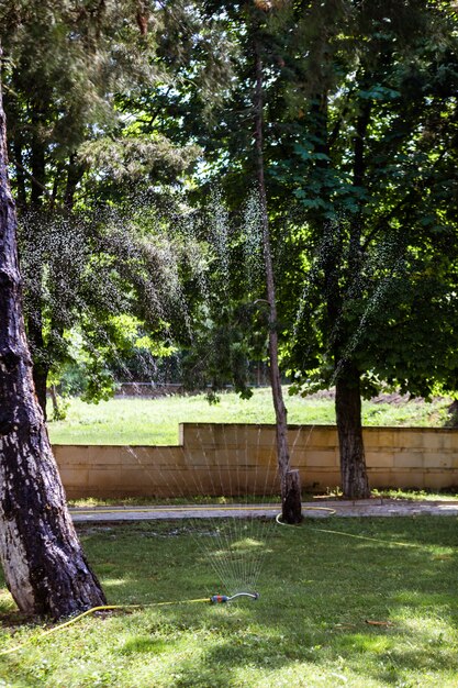 Garden sprinkler on a sunny summer day