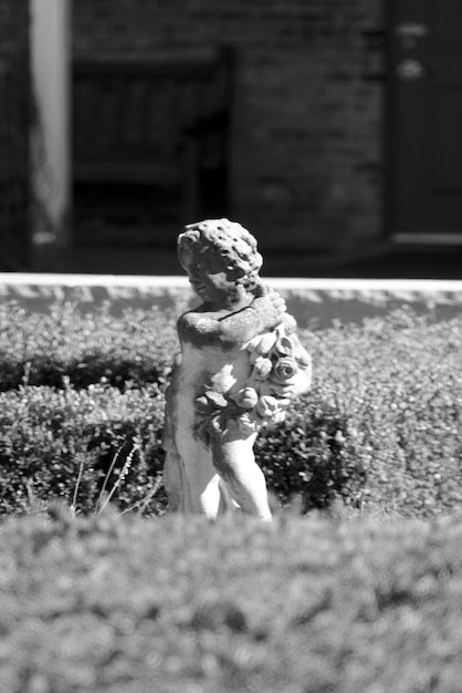Foto statua di giardino