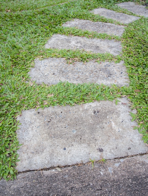 Garden stone nature