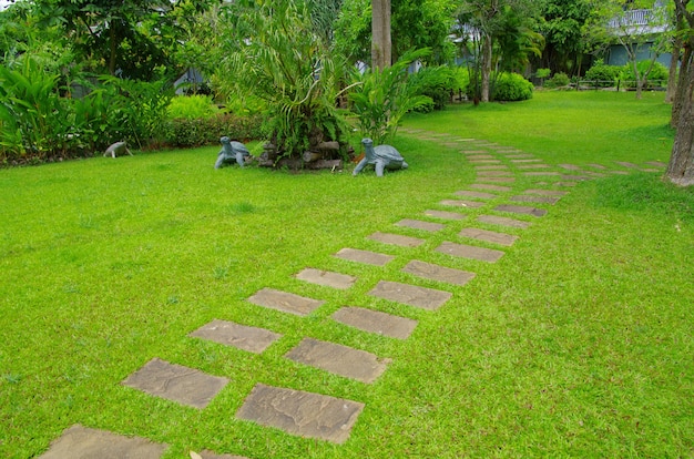 Garden stone path with grass