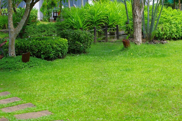 草のある庭の石の小道