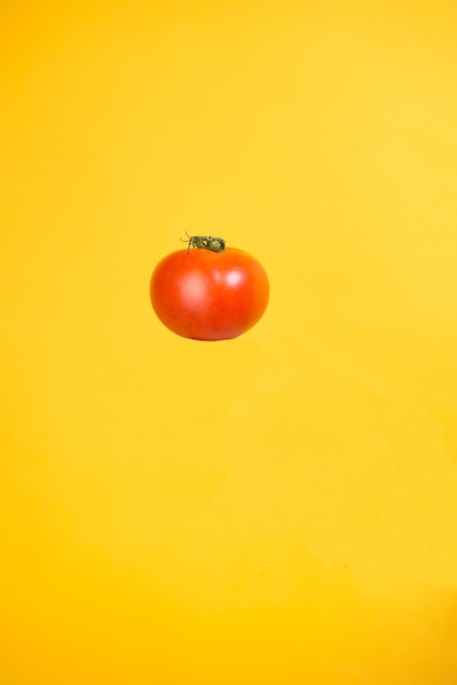 garden tomato isolated on yellow background