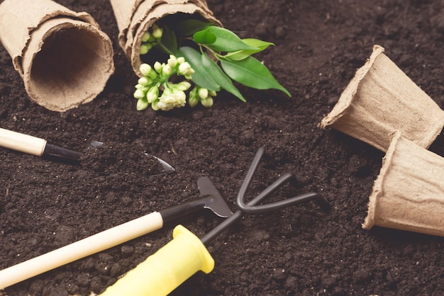 Garden Tools Background Small Pots Yellow Garden Gloves Shovel Threads Rake on Soil