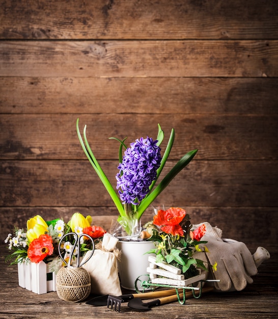 Garden tools for flowers over wooden background