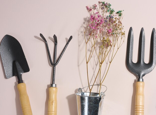 Garden tools for processing beds in the garden on a beige background