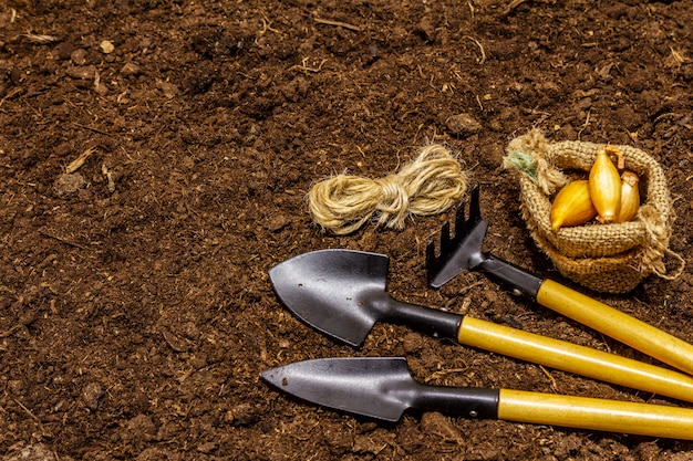 토양 배경에 정원 도구입니다. 식물 관리 개념. 삽과 갈퀴, 실, 양파