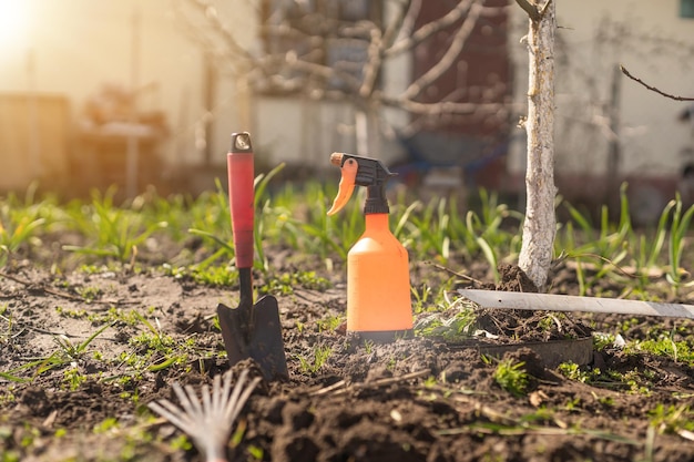 garden tools in soil, gardening.