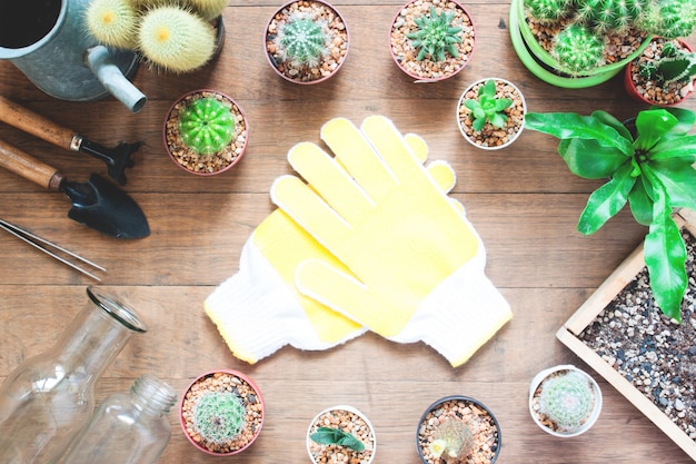 Garden tools with cactus in pot plant on wooden background with copy space