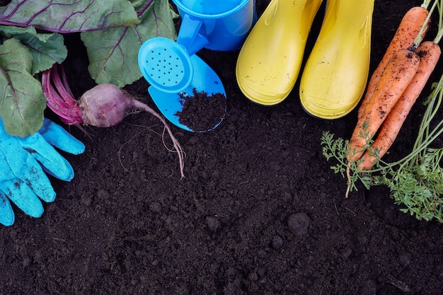 Garden tools with vegetables on soil