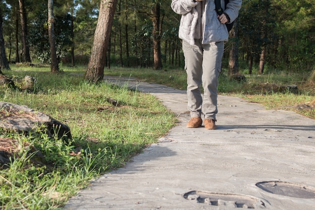 Photo garden walkway