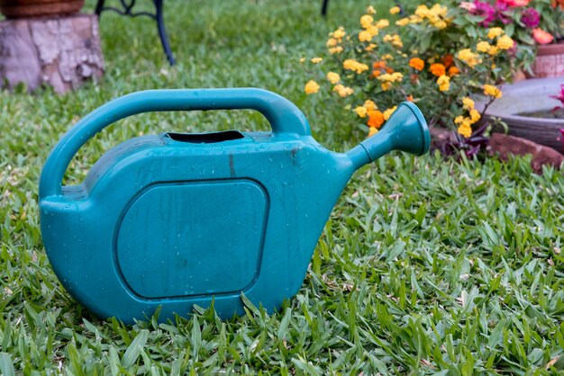 Garden waterer on top of the grass