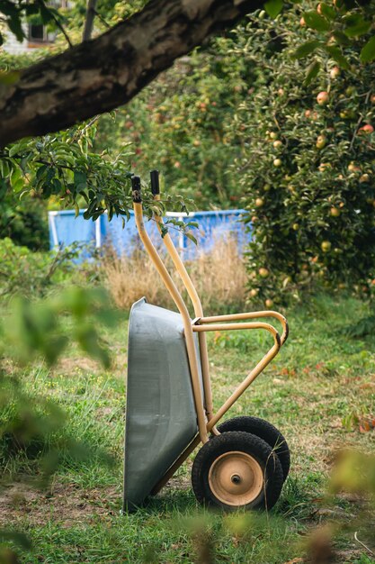 A garden wheelbarrow in the backyard of the house concept of housework gardening and country life