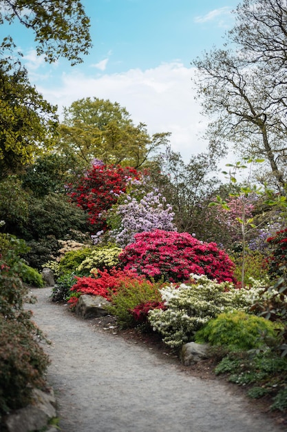 Garden with blooming trees during spring time