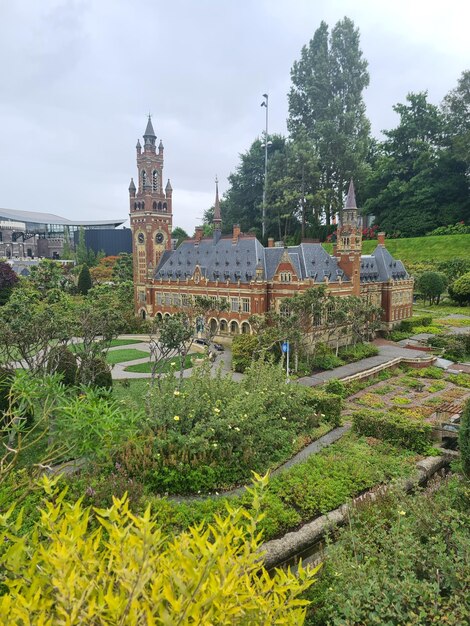 a garden with a clock tower in the background.