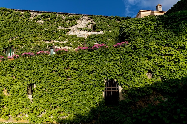 Garden with different plants at Vile Cimbrone in Ravello Italy