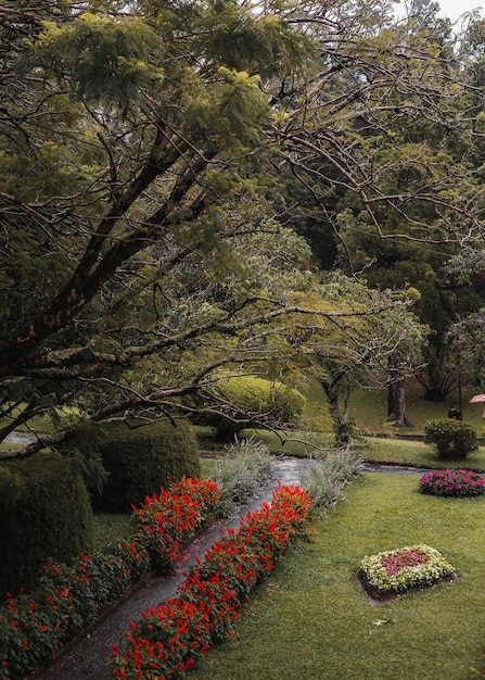 A garden with flowers and a stream in the foreground