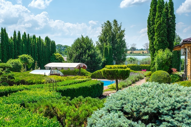 Garden with nicely trimmed bushes and swimming pool in backyard