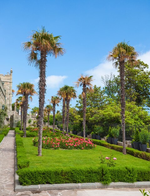 Garden with palm trees and flowers