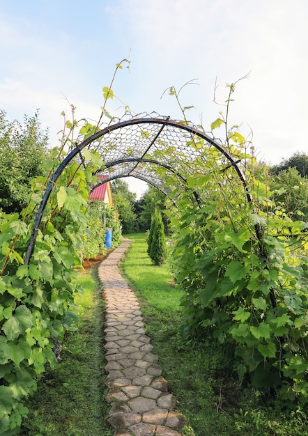 Giardino con percorso e arco di viti verdi in primo piano in giornata di sole estivo