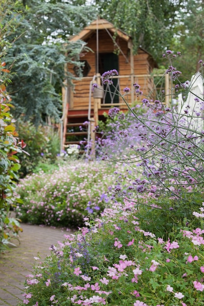 Garden with path and shed